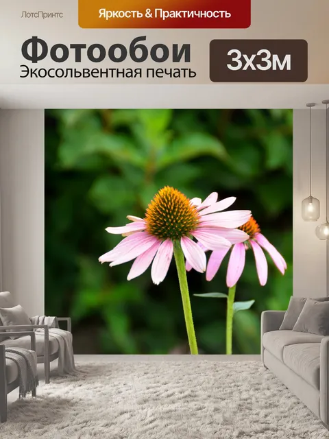 Фотообои Конус Цветок