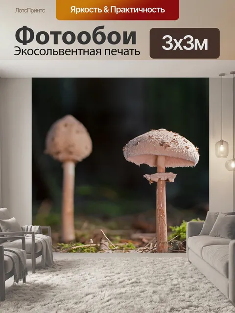 Фотообои Зонтик