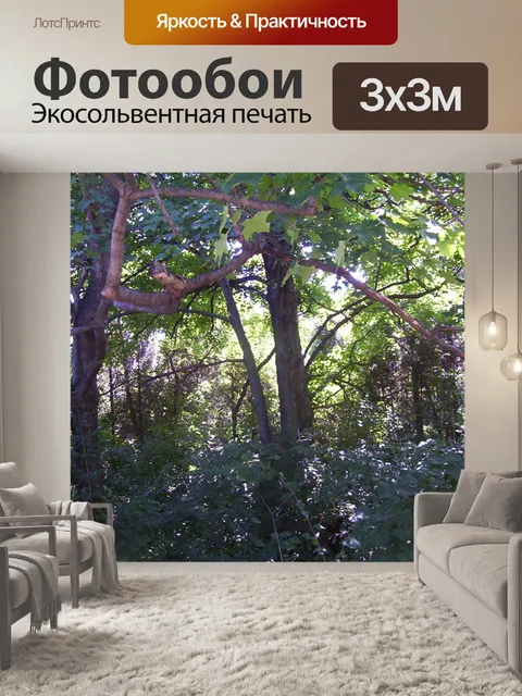 Фотообои Вудс
