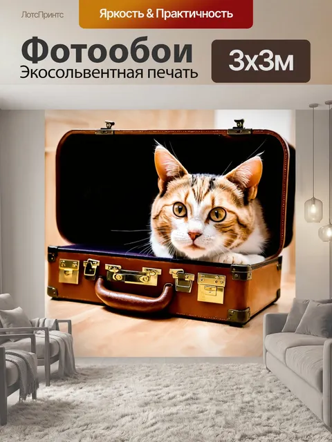 Фотообои кошка, хранящая секреты в багажном отсеке
