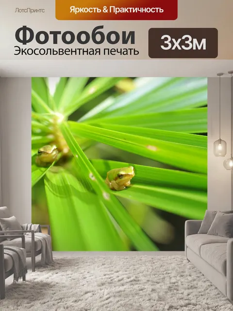 Фотообои Зеленая древесная лягушка