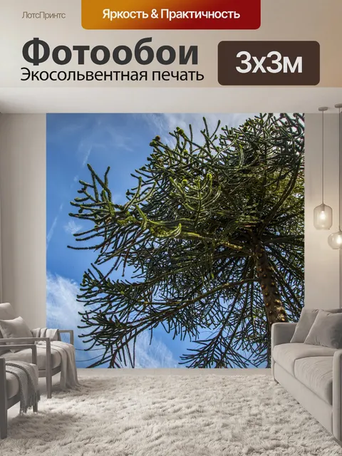 Фотообои Сосновый бор
