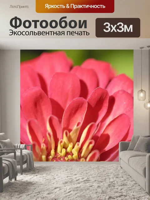 Фотообои красочный цветок макро выстрел