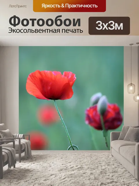 Фотообои Красный букет маков