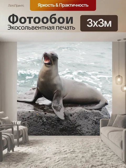 Фотообои Морской лев