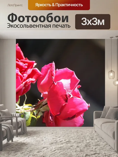 Фотообои Розы