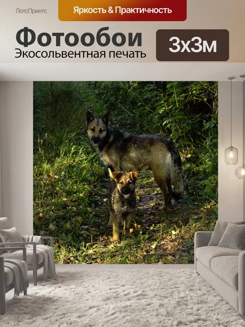 Фотообои Собаки