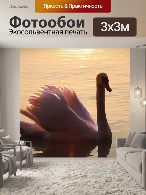 Фотообои Лебедь