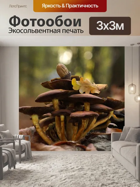 Фотообои Грибы дубовые листья осенние листья