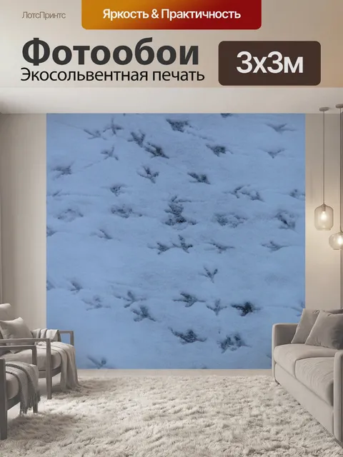 Фотообои Птица треки