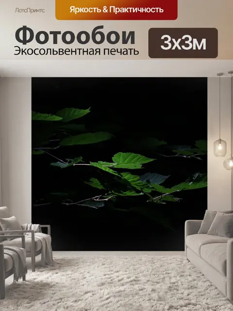 Фотообои Листья