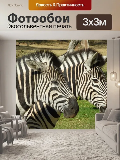 Фотообои Зебра