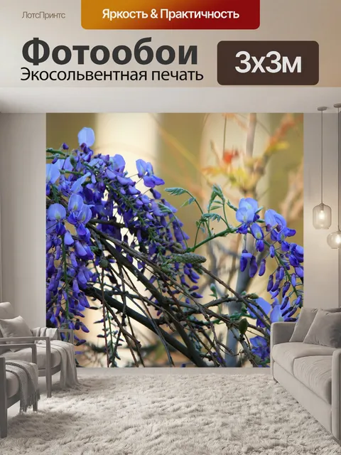Фотообои фиолетовый глицинии