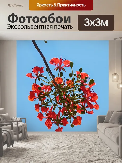 Фотообои Яркий