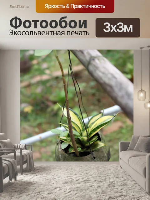 Фотообои Кокосовый сад горшок