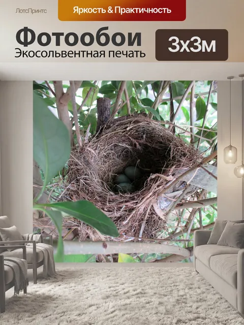 Фотообои Птицы гнезда яйца