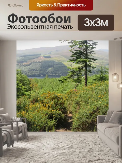 Фотообои Мировоззрение