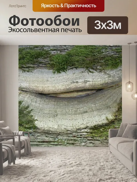 Фотообои Лес