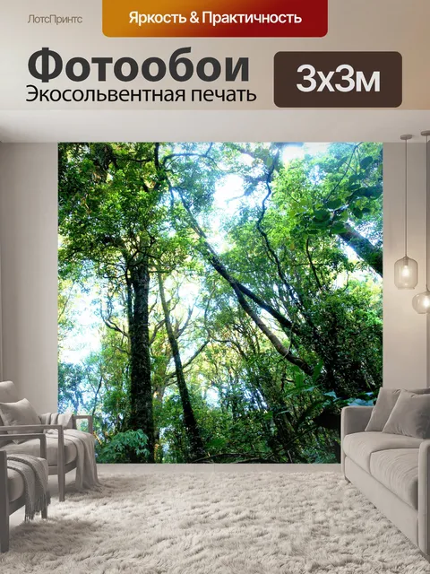 Фотообои Природа тропический лес дои Интанон наци