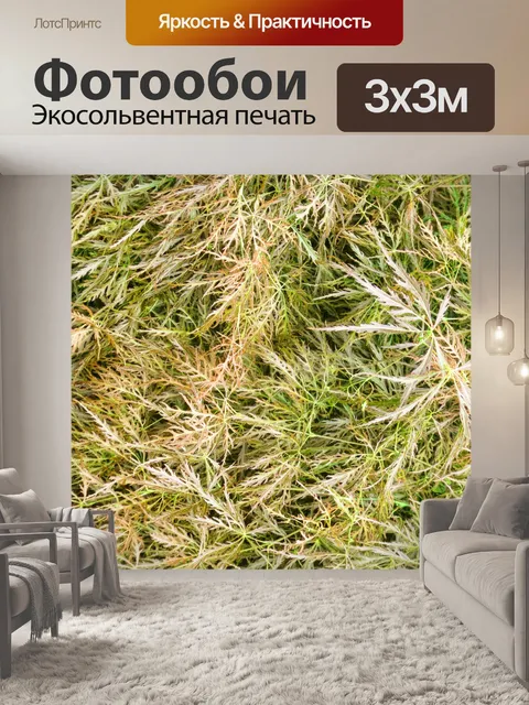 Фотообои Сухая трава фон