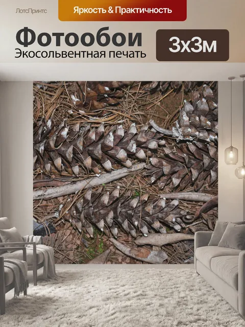 Фотообои Pine cones