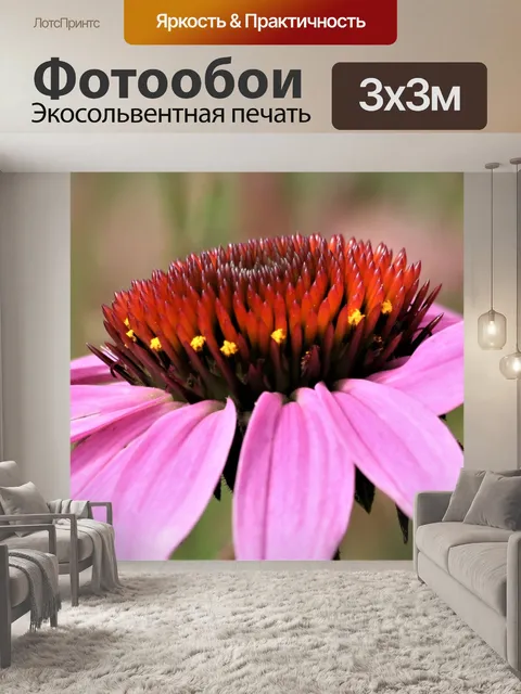 Фотообои Крупным планом вид сбоку розовый конус
