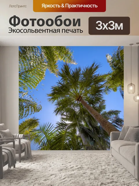 Фотообои Пальмы против неба