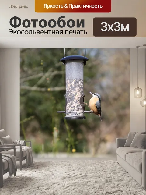 Фотообои Садовая птица