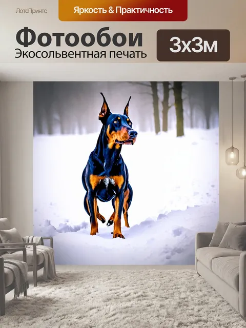 Фотообои доберман, играющий в снегу зимой