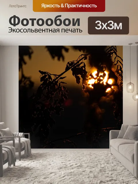 Фотообои Солнце