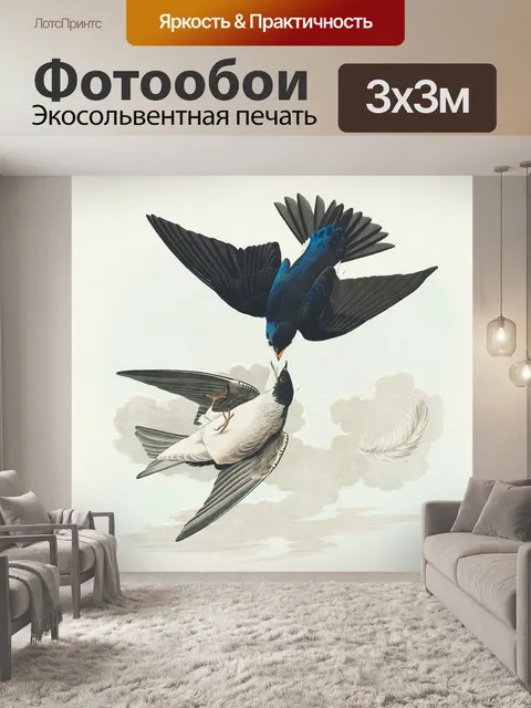 Фотообои Ласточки птицы иллюстрации искусство