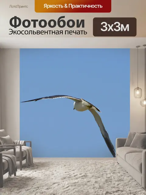 Фотообои Животное
