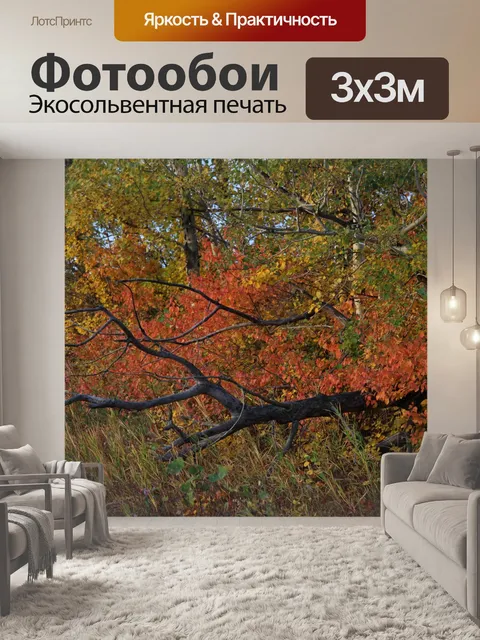 Фотообои Осенние листья