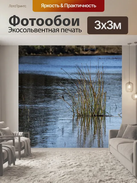 Фотообои Птица на тростниках