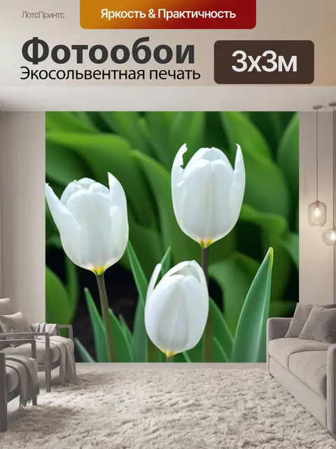 Фотообои белые тюльпаны на фоне зелени