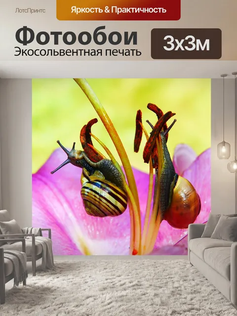 Фотообои Wstężyki gajowe