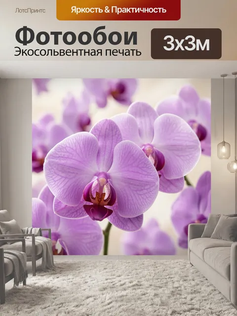 Фотообои Лиловые орхидеи крупным планом