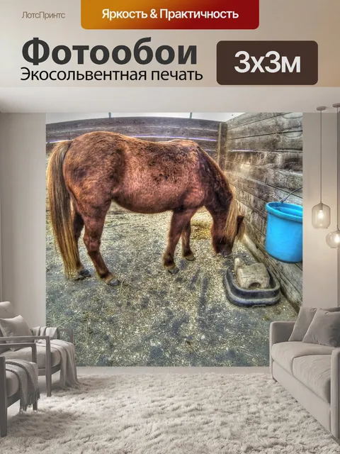 Фотообои Пони едят