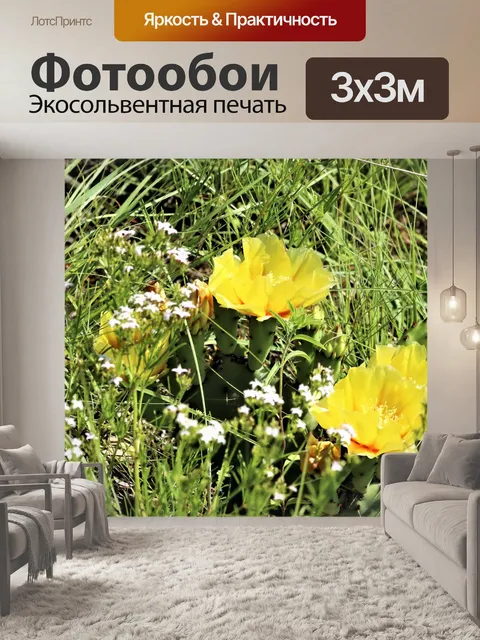 Фотообои Желтые цветы кактуса и бабочка