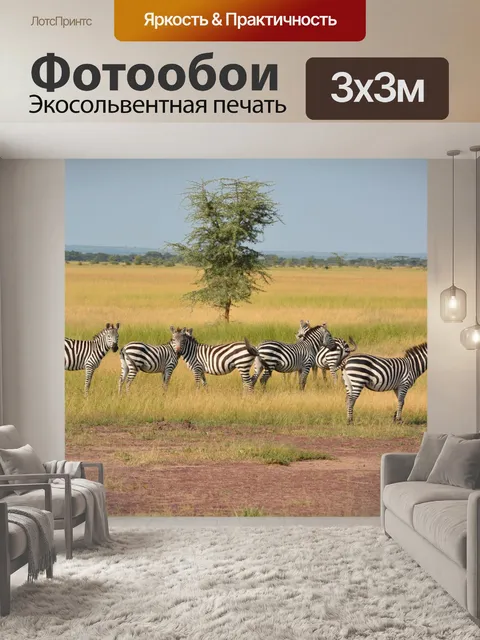 Фотообои Зебры