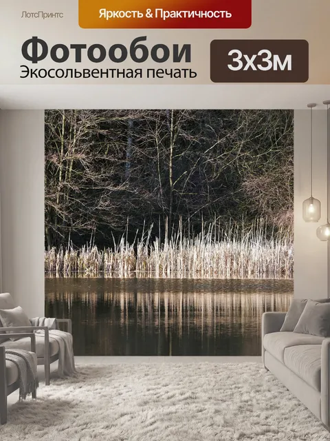 Фотообои Зимой на лесное озеро