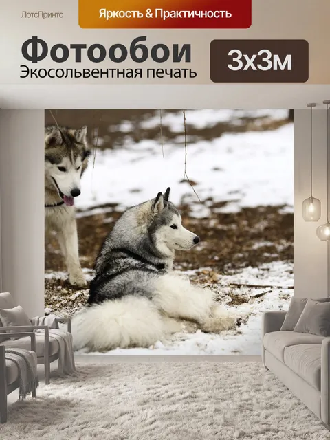 Фотообои Зима