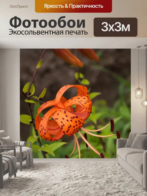 Фотообои Лилия