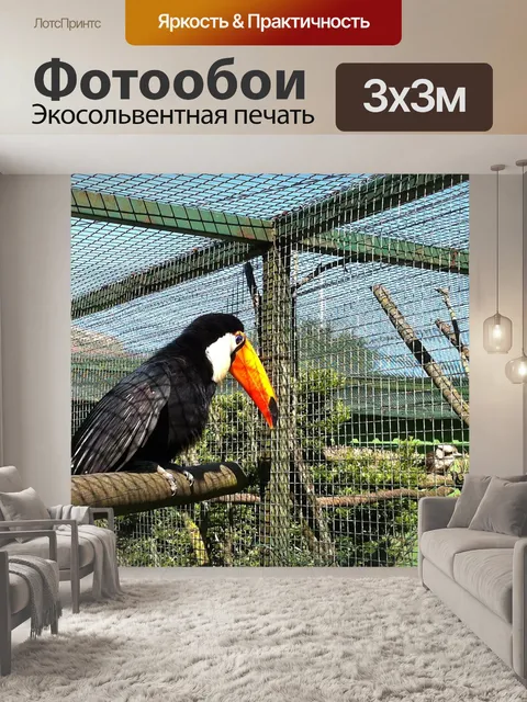 Фотообои Животные