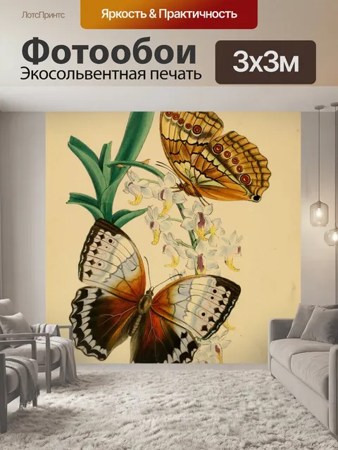 Фотообои Бабочки Винтажное Искусство