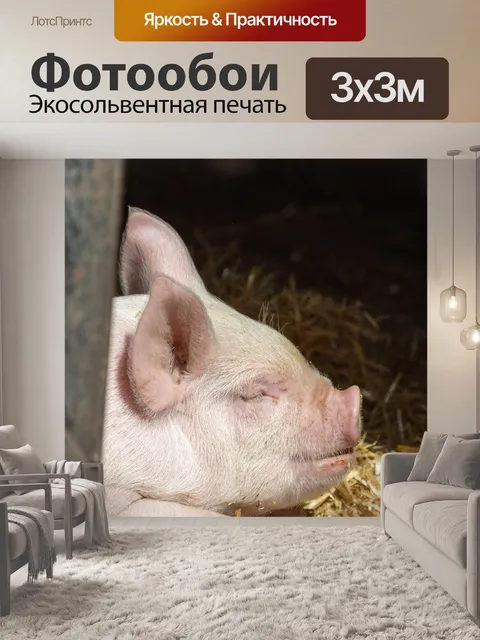 Фотообои Маленький поросенок