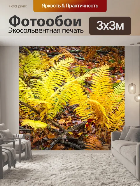 Фотообои Папоротники