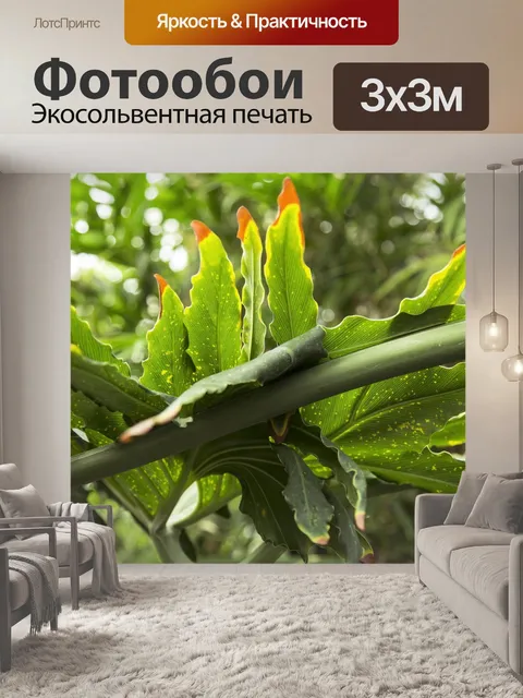Фотообои Тропический