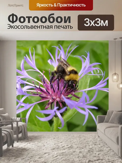 Фотообои Васильковый