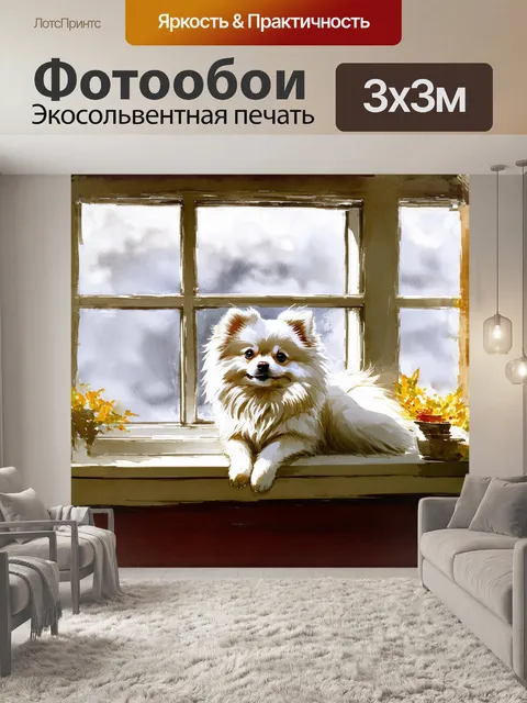Фотообои через окно с легким туманом видно белого померанского шпица, уютно устроившегося на подоконнике